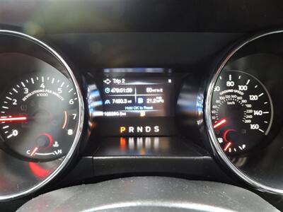 2017 Ford Mustang EcoBoost   - Photo 14 - Lexington, NE 68850