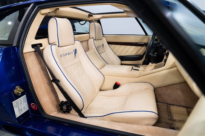 1997 Lotus Esprit V8   - Photo 51 - Neptune City, NJ 07753