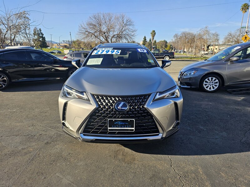 2019 Lexus UX 250h  