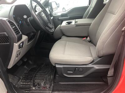 2019 Ford F-150 XLT   - Photo 14 - Owatonna, MN 55060