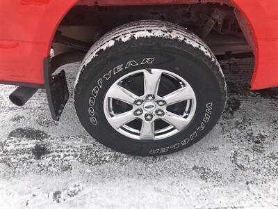 2019 Ford F-150 XLT   - Photo 12 - Owatonna, MN 55060