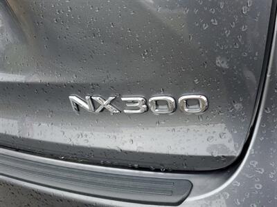 2021 Lexus NX 300   - Photo 6 - Schoolcraft, MI 49087