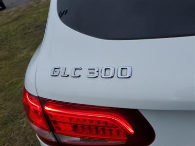 2016 Mercedes-Benz GLC GLC 300   - Photo 6 - Schoolcraft, MI 49087