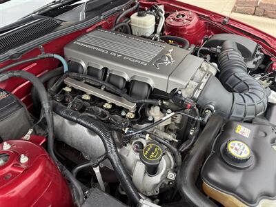 2007 Ford Mustang GT Premium  Convertible 5-Speed - Photo 45 - Flushing, MI 48433