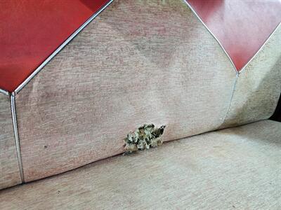 1956 Chevrolet Bel Air 4-Door Hardtop   - Photo 17 - De Pere, WI 54115