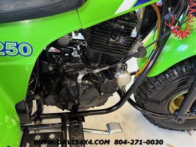 1985 Kawasaki KLT 250 Classic Antique Collection Piece   - Photo 10 - North Chesterfield, VA 23237