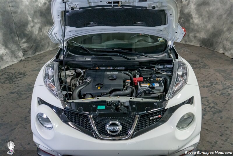 2013 Nissan JUKE S photo