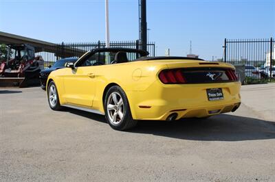 2017 Ford Mustang V6   - Photo 6 - Dallas, TX 75220