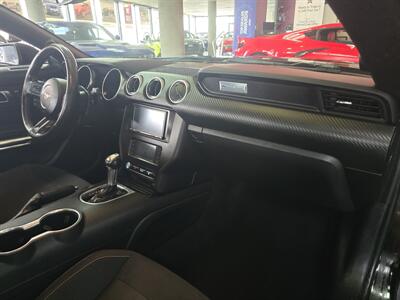 2019 Ford Mustang EcoBoost   - Photo 12 - Hamilton, OH 45015