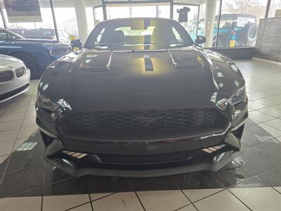 2019 Ford Mustang EcoBoost   - Photo 2 - Hamilton, OH 45015
