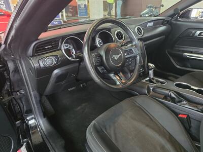2019 Ford Mustang EcoBoost   - Photo 8 - Hamilton, OH 45015