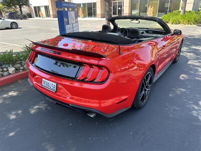 2019 Ford Mustang EcoBoost Premium   - Photo 6 - Campbell, CA 95008