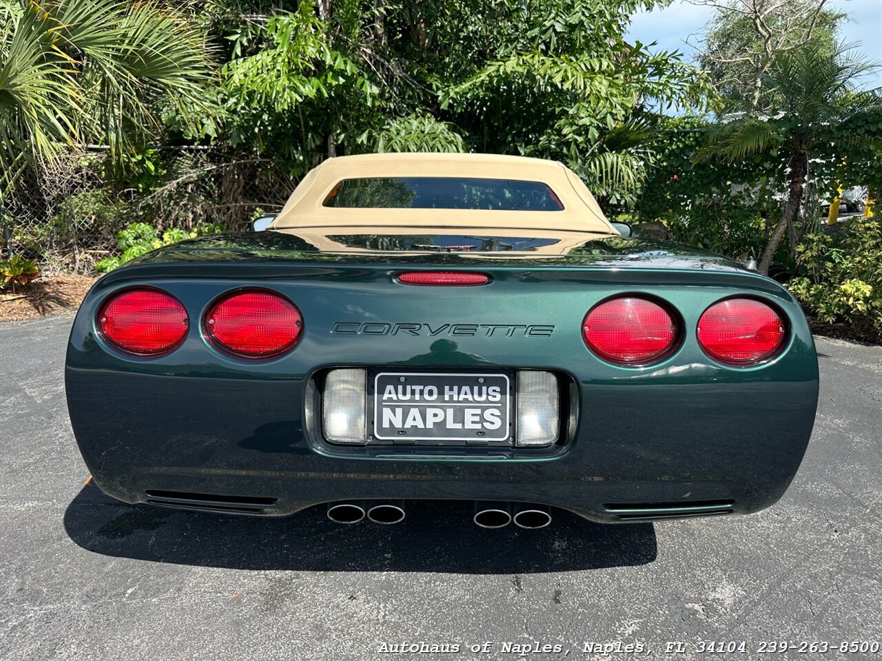 2001 Chevrolet Corvette   - Photo 12 - Naples, FL 34104