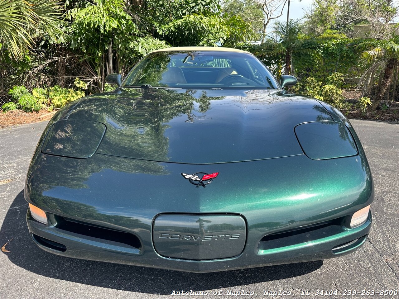 2001 Chevrolet Corvette   - Photo 3 - Naples, FL 34104