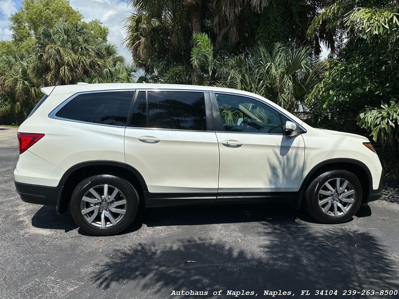 2019 Honda Pilot EX-L   - Photo 9 - Naples, FL 34104