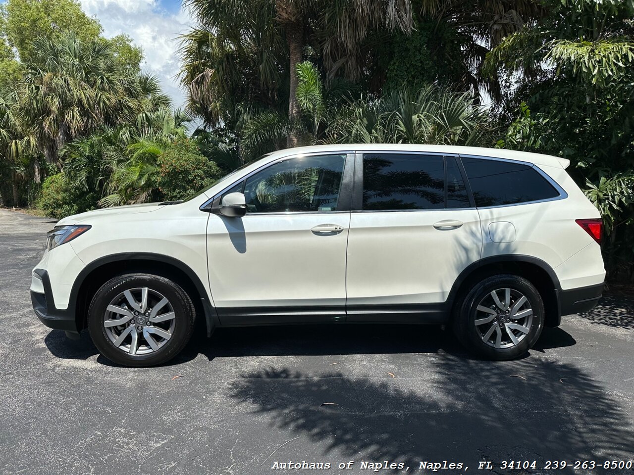 2019 Honda Pilot EX-L   - Photo 5 - Naples, FL 34104