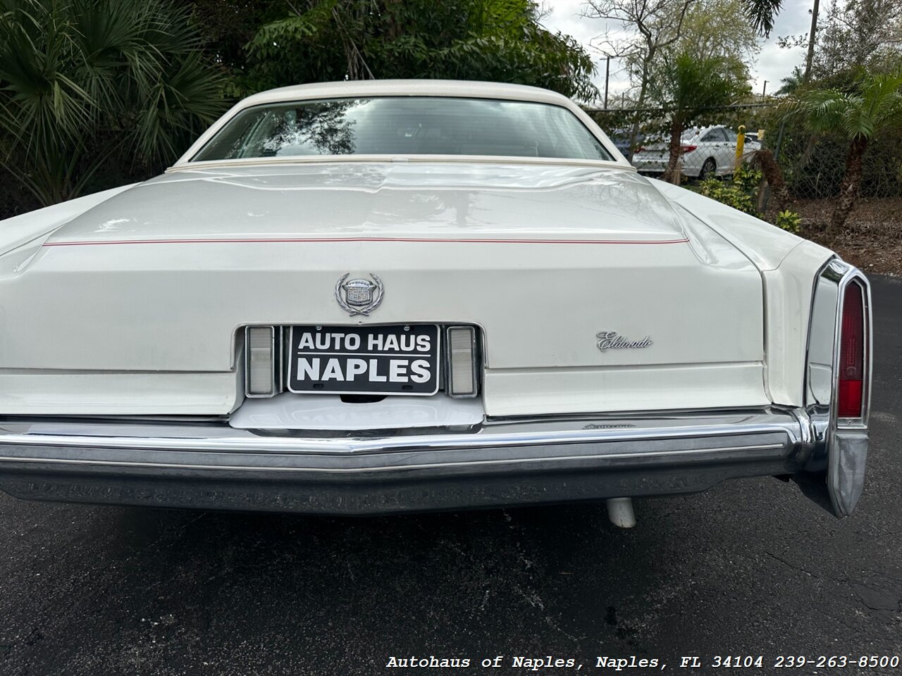 1978 Cadillac Eldorado   - Photo 21 - Naples, FL 34104