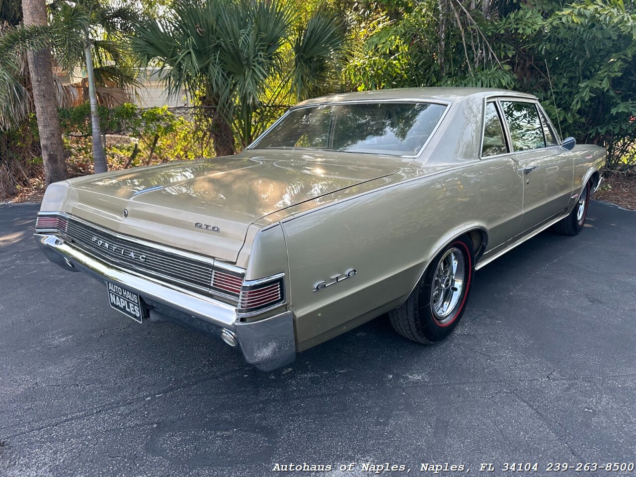 1965 Pontiac GTO   - Photo 14 - Naples, FL 34104