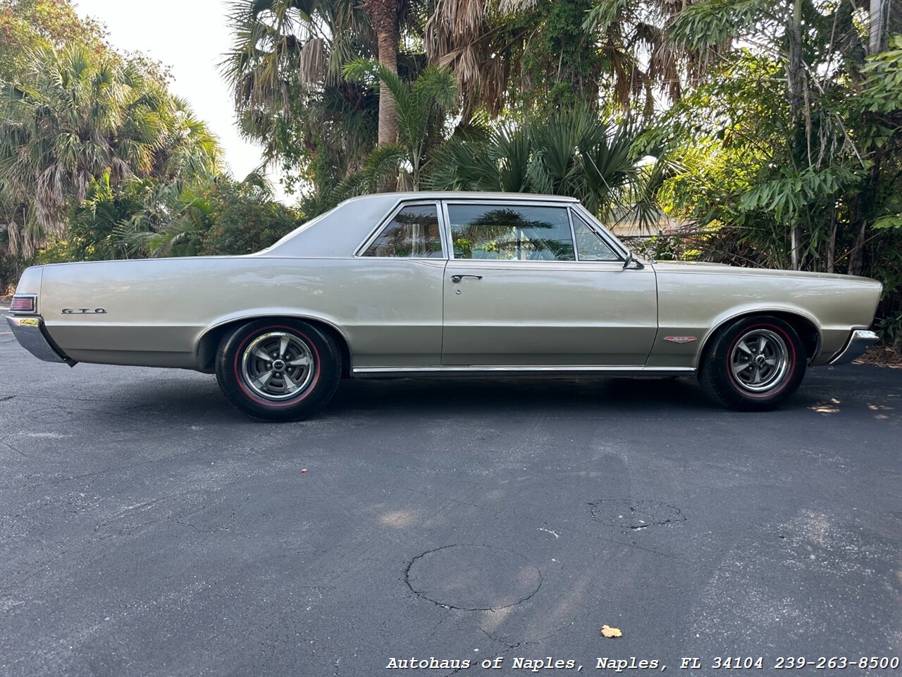 1965 Pontiac GTO   - Photo 15 - Naples, FL 34104