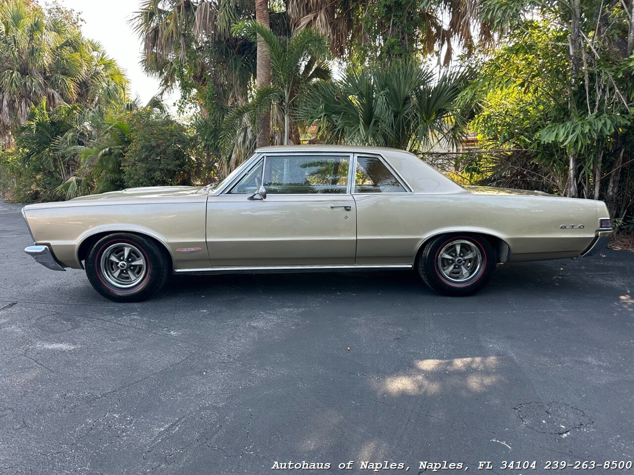 1965 Pontiac GTO   - Photo 5 - Naples, FL 34104