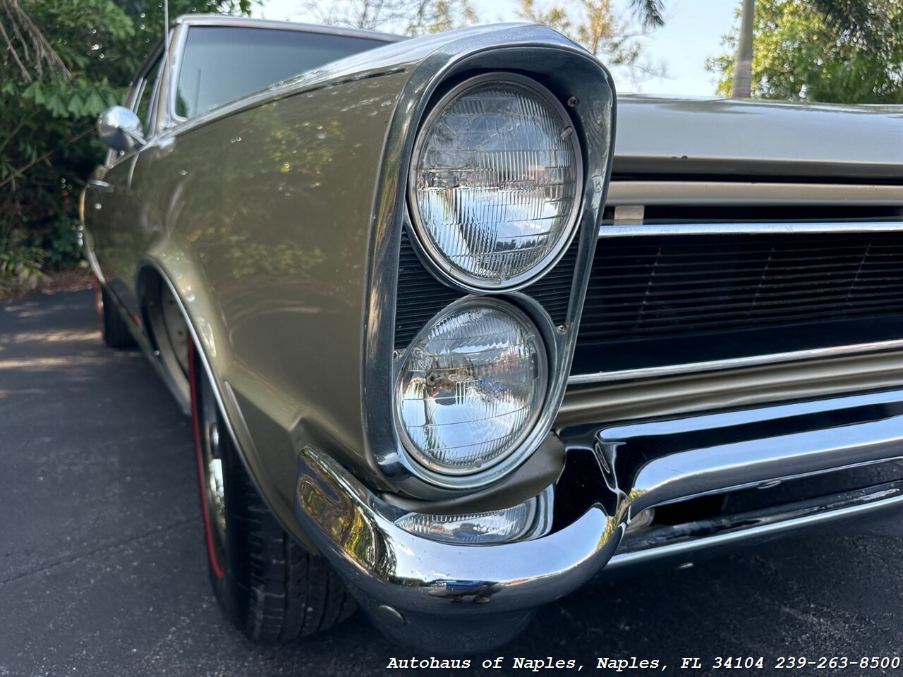 1965 Pontiac GTO   - Photo 6 - Naples, FL 34104