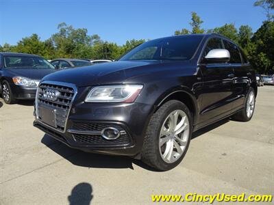 2015 Audi SQ5 Premium Plus 3.0L Turbo V6 Quattro  AWD - Photo 3 - Cincinnati, OH 45255