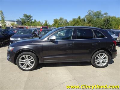 2015 Audi SQ5 Premium Plus 3.0L Turbo V6 Quattro  AWD - Photo 5 - Cincinnati, OH 45255