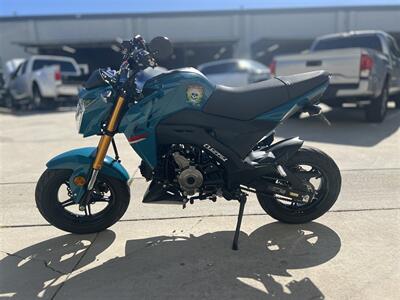 2021 Kawasaki Z125 PRO  