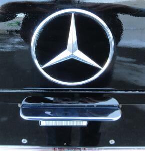 1992 Mercedes-Benz 500 SEL - Photo 30 - Bohemia, NY 11716