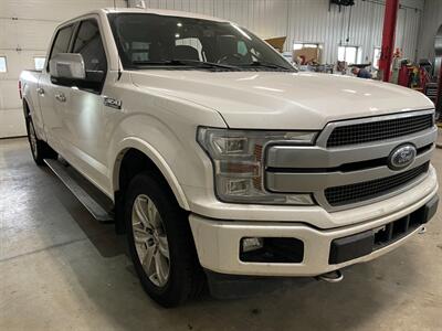 2018 Ford F-150 Platinum - Photo 4 - Saint Louis, MI 48880-9800