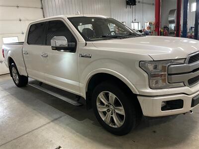 2018 Ford F-150 Platinum - Photo 5 - Saint Louis, MI 48880-9800