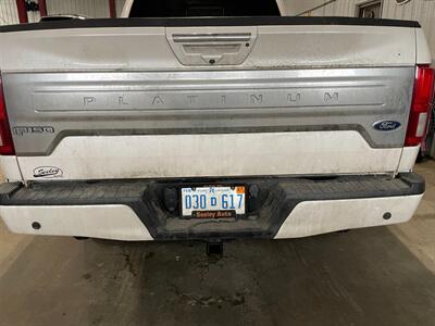 2018 Ford F-150 Platinum - Photo 7 - Saint Louis, MI 48880-9800