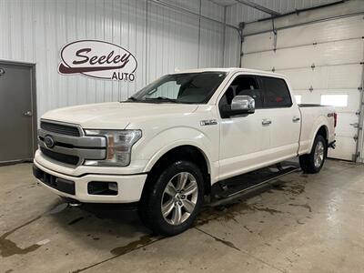 2018 Ford F-150 Platinum - Photo 2 - Saint Louis, MI 48880-9800