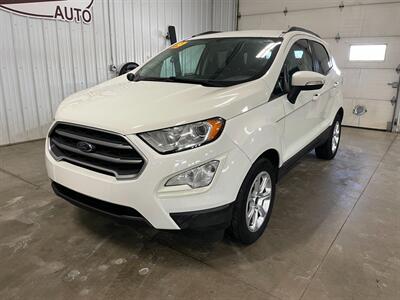 2019 Ford EcoSport SE   - Photo 2 - Saint Louis, MI 48880-9800