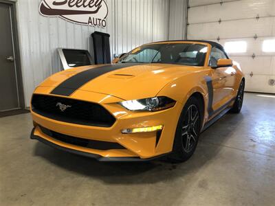 2018 Ford Mustang EcoBoost   - Photo 2 - Saint Louis, MI 48880-9800
