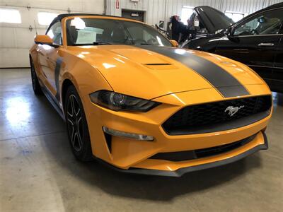 2018 Ford Mustang EcoBoost   - Photo 6 - Saint Louis, MI 48880-9800