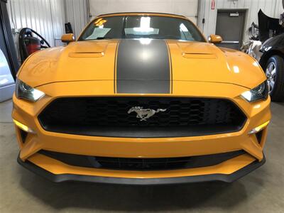2018 Ford Mustang EcoBoost   - Photo 3 - Saint Louis, MI 48880-9800