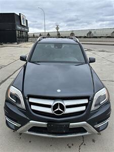 2014 Mercedes-Benz GLK GLK 350 4MATIC   - Photo 8 - Winnipeg, MB R3L 0M4