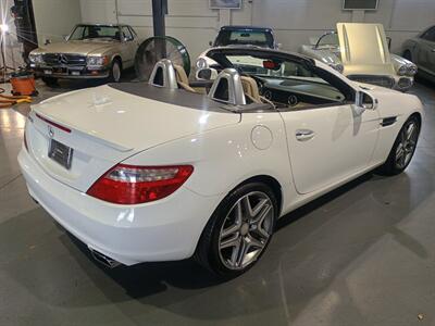 2015 Mercedes-Benz SLK SLK 250   - Photo 6 - Boca Raton, FL 33431