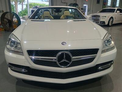2015 Mercedes-Benz SLK SLK 250   - Photo 9 - Boca Raton, FL 33431