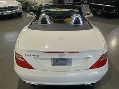 2015 Mercedes-Benz SLK SLK 250   - Photo 5 - Boca Raton, FL 33431