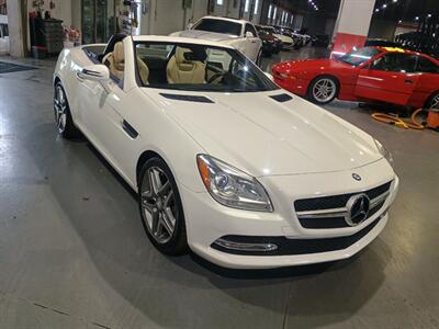 2015 Mercedes-Benz SLK SLK 250   - Photo 8 - Boca Raton, FL 33431