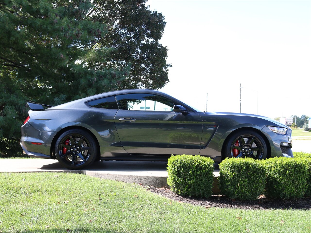 2016 Ford Mustang Shelby GT350R   - Photo 24 - Springfield, MO 65802