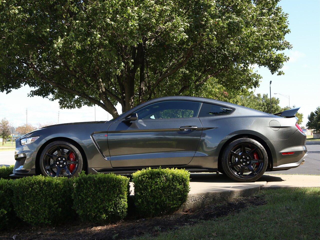 2016 Ford Mustang Shelby GT350R   - Photo 30 - Springfield, MO 65802
