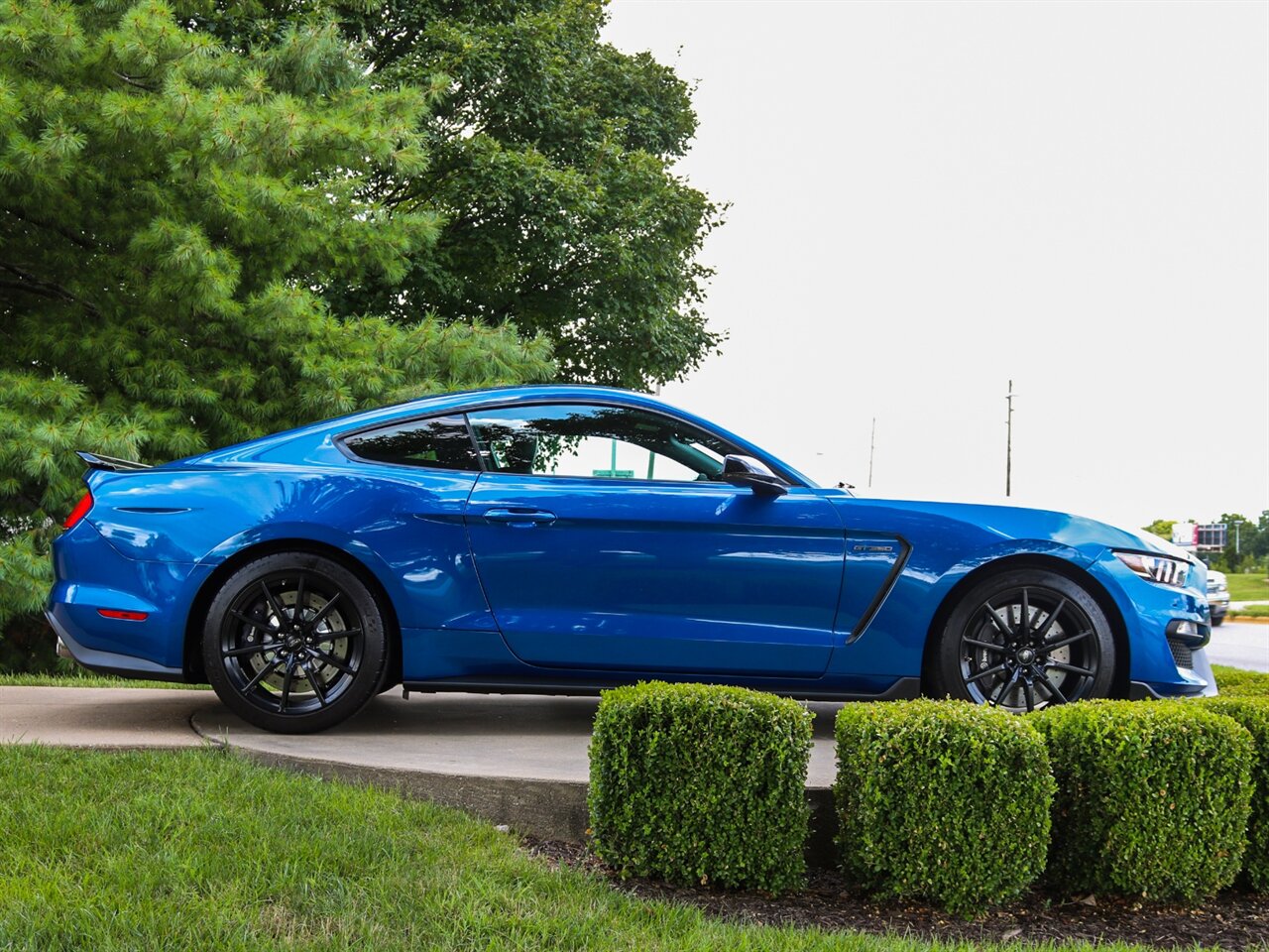 2017 Ford Mustang Shelby GT350   - Photo 22 - Springfield, MO 65802