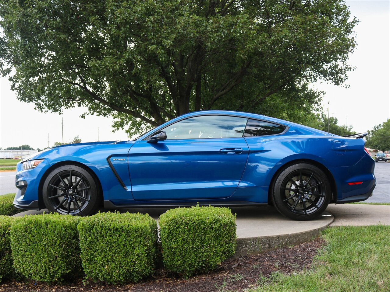 2017 Ford Mustang Shelby GT350   - Photo 27 - Springfield, MO 65802