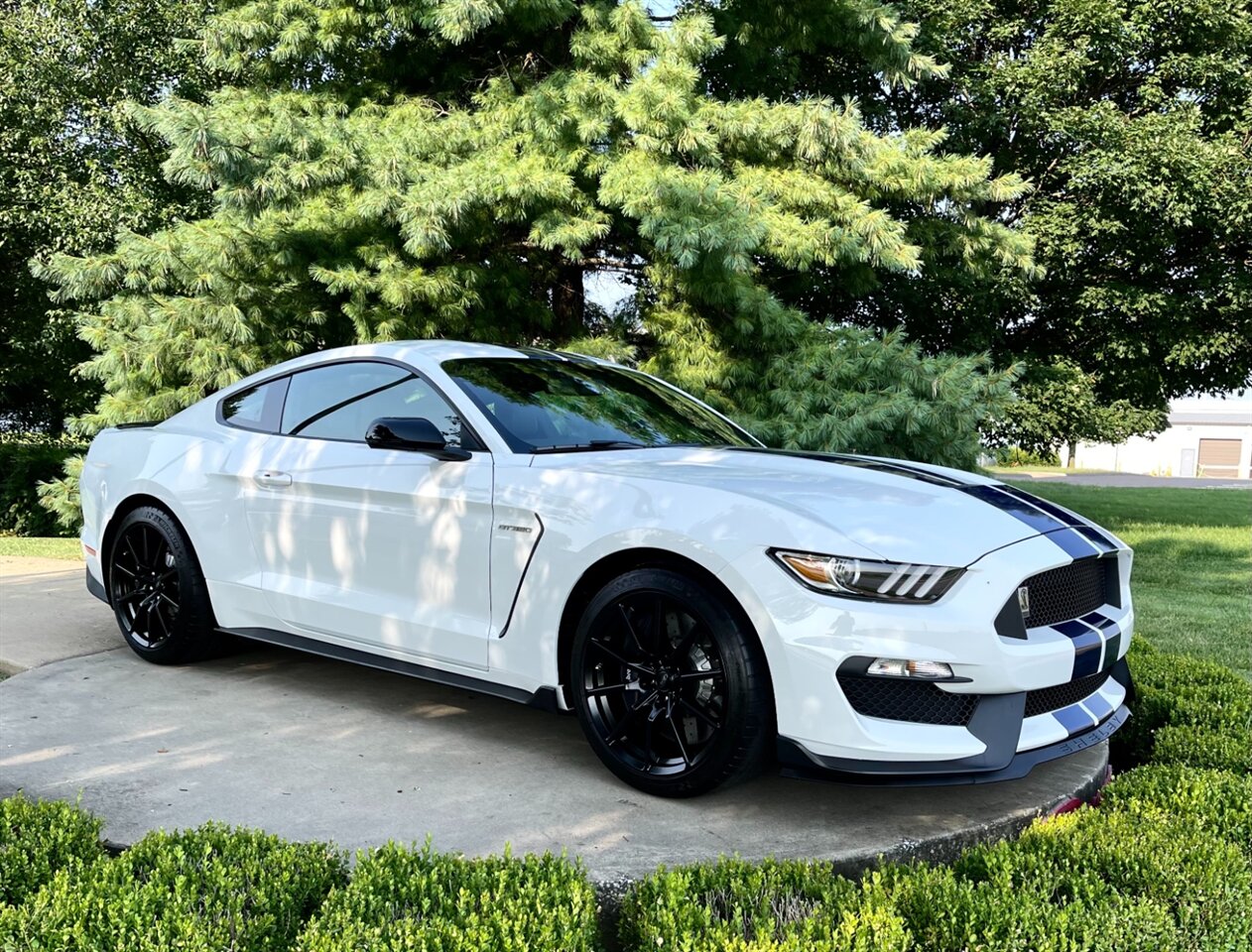 2015 Ford Mustang GT350  50th Anniversary Edition - Photo 26 - Springfield, MO 65802