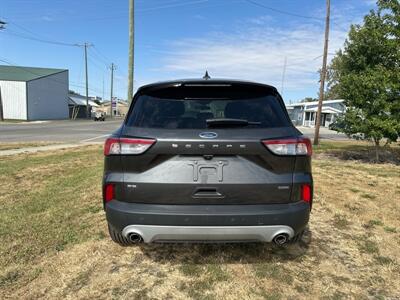 2020 Ford Escape Hybrid SE Sport   - Photo 7 - Rushville, IN 46173