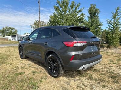 2020 Ford Escape Hybrid SE Sport   - Photo 8 - Rushville, IN 46173