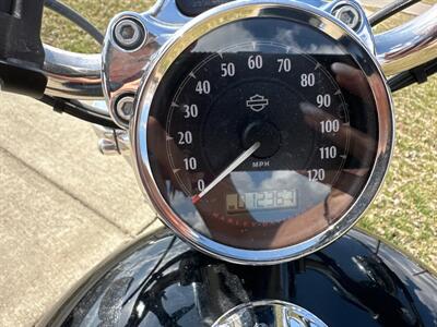 2014 Harley Davidson XL 1200C   - Photo 9 - Rushville, IN 46173